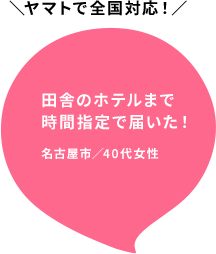 田舎のホテルまで時間指定で届いた！